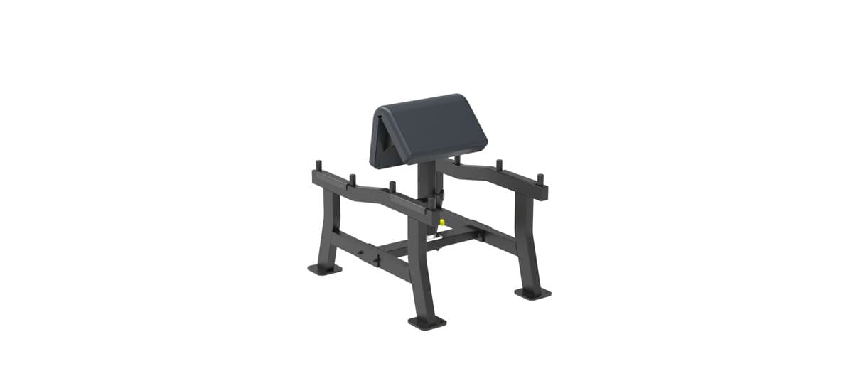 Arm Curl - Line SL - Impulse