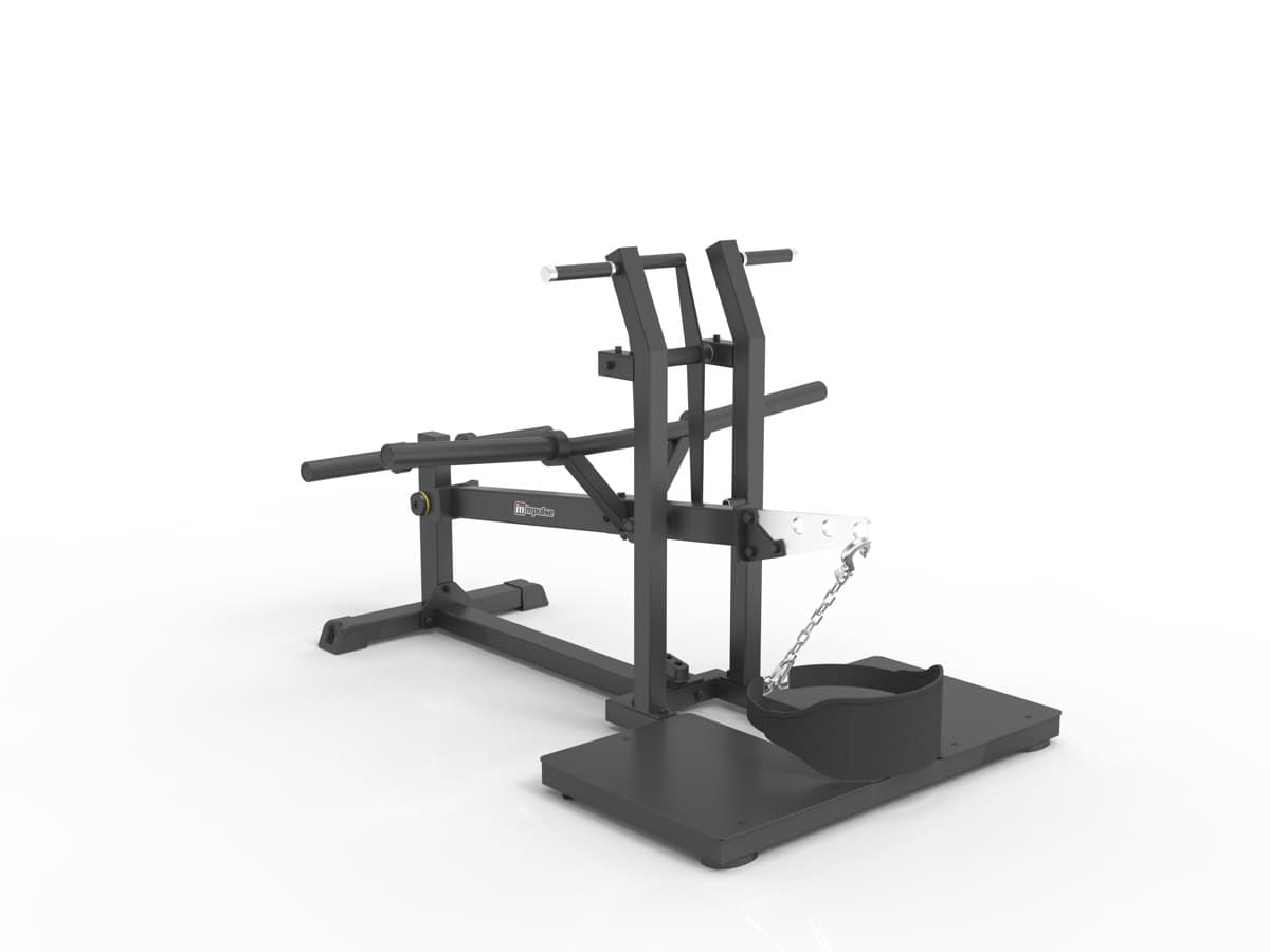Belt Squat -  Line IFP