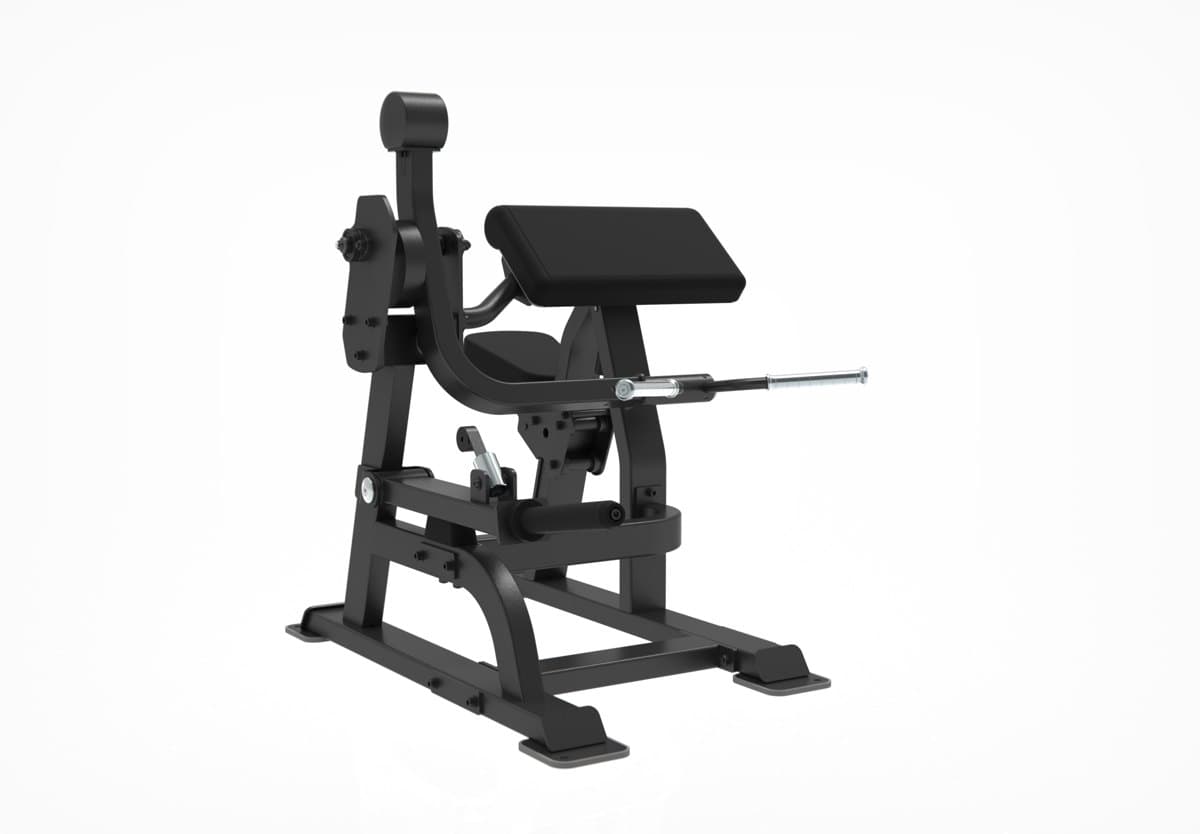 Bicep Curl - SL Impulse