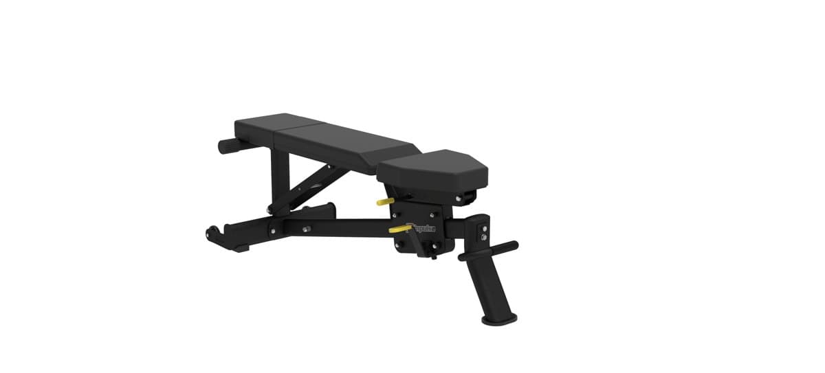 Dual Pulley Impulse 170lb*2