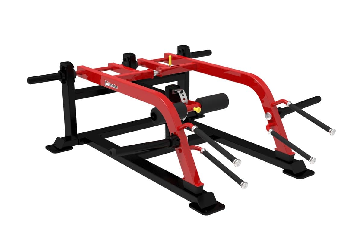 Lower Limbs - Line SL