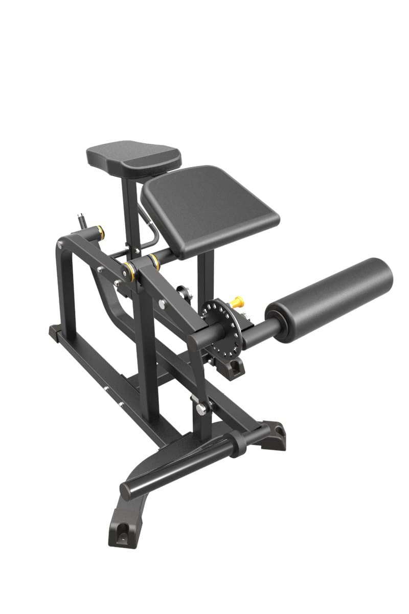 Prone Leg Curl - Line IFP