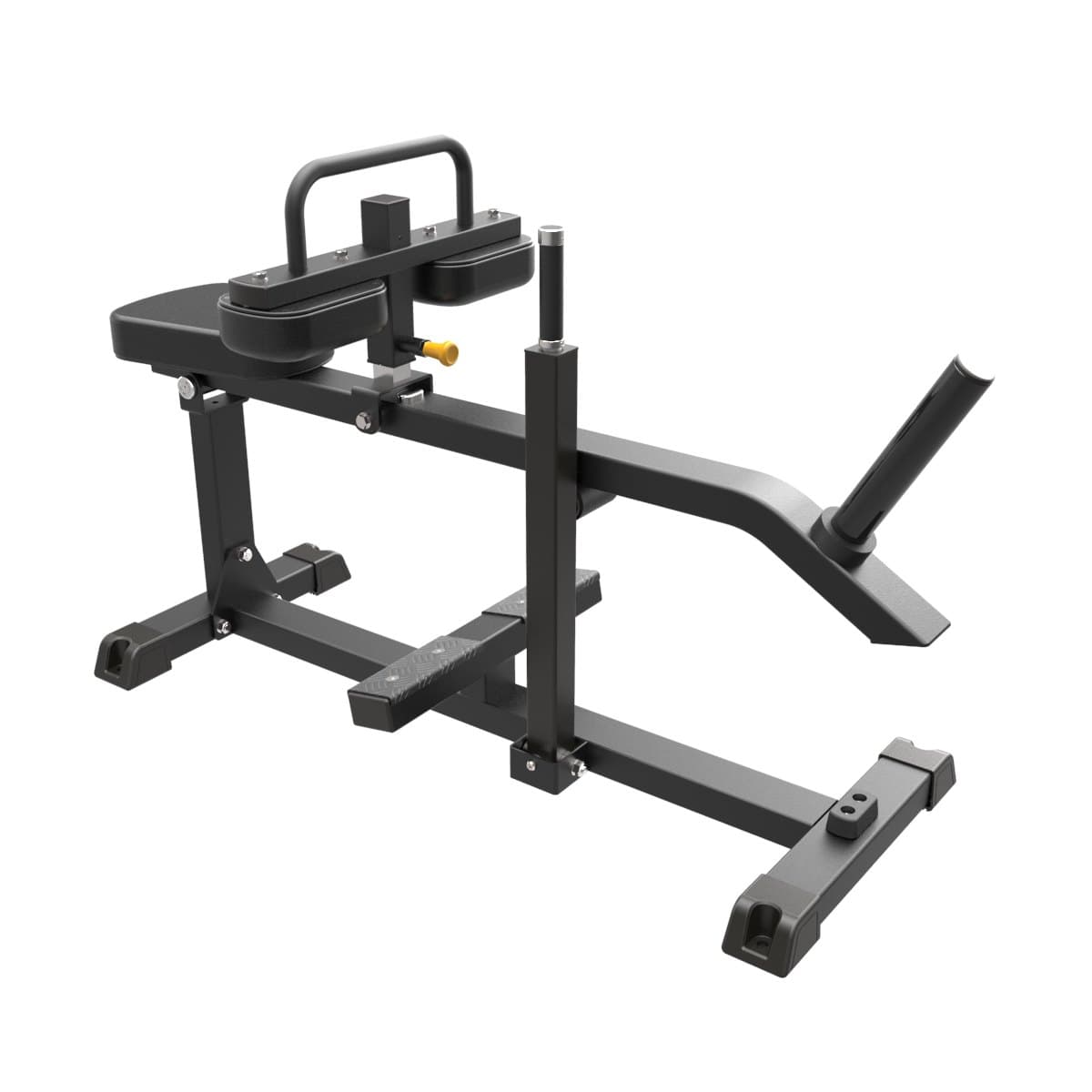 Seated Calf Rise - Line IFP