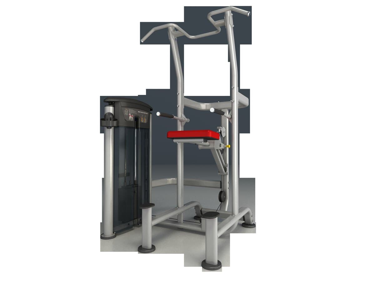 Weight Assisted Chin/Dip Combo - IT Impulse 200lb