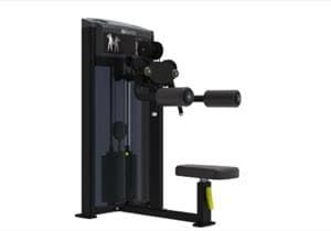 Lateral (Deltoid) Rise FS - IF Impulse 235lb