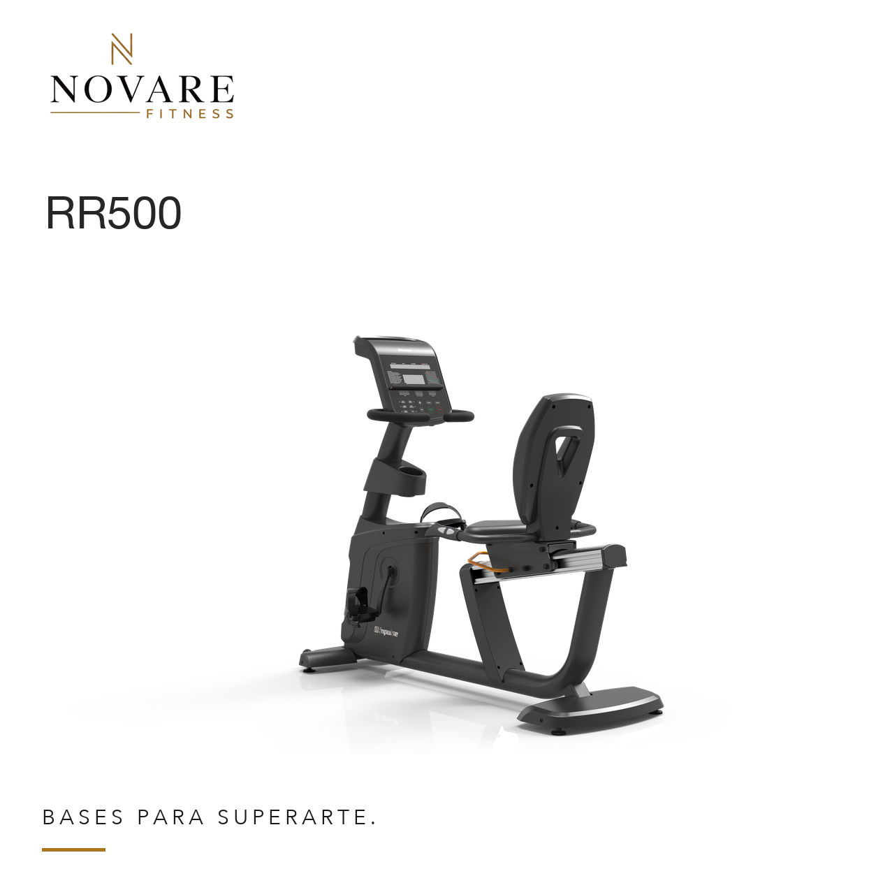 Recumbent Bike RR500 — RR500
